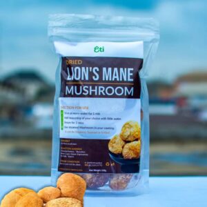Lion’s Mane Mushrooms