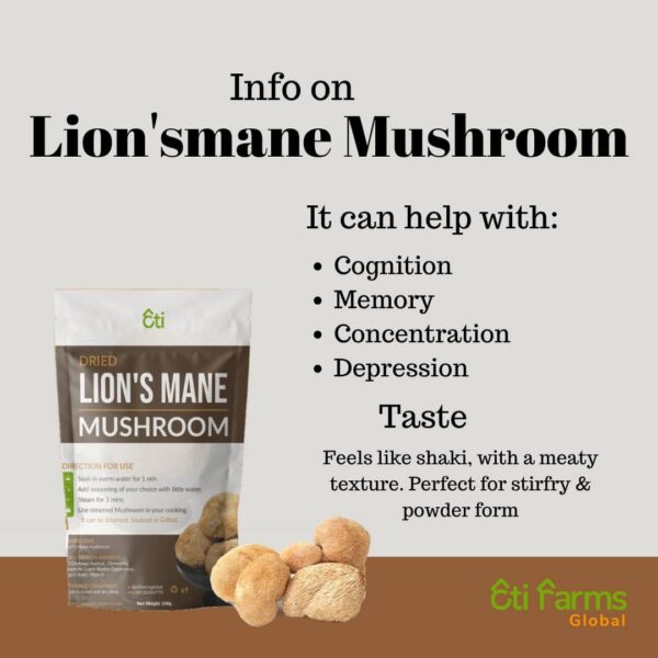 Lion’s Mane Mushrooms - Image 2