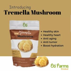 Tremella Mushrooms