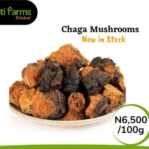 Chaga Mushroom