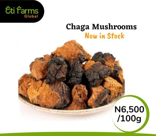 Chaga Mushroom