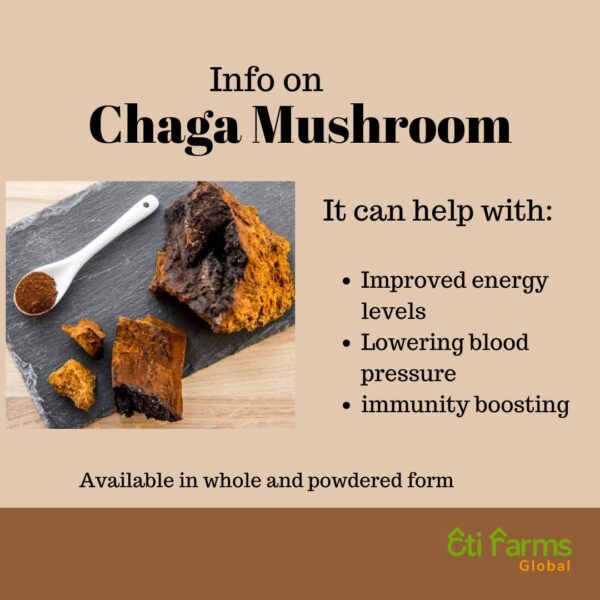 Chaga Mushroom - Image 2