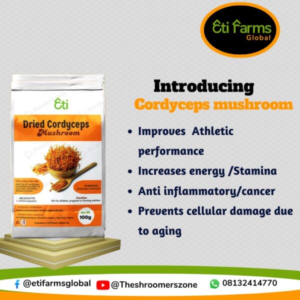 Cordyceps Mushroom - Image 2