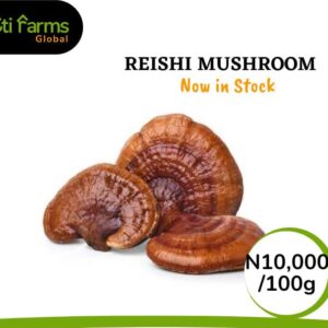 Reishi Mushroom
